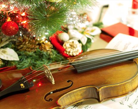 Violin placed face up next to a Christmas tree