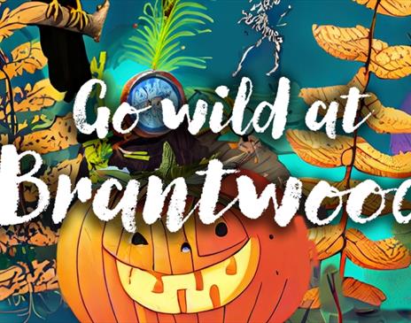 Poster for Go Wild! at Brantwood in Coniston, Lake District