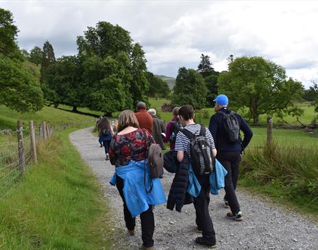 Literary Walking Tour of Ambleside with Dr Penny Bradshaw