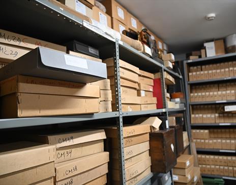 Behind the Scenes at The Armitt: Explore the Storeroom