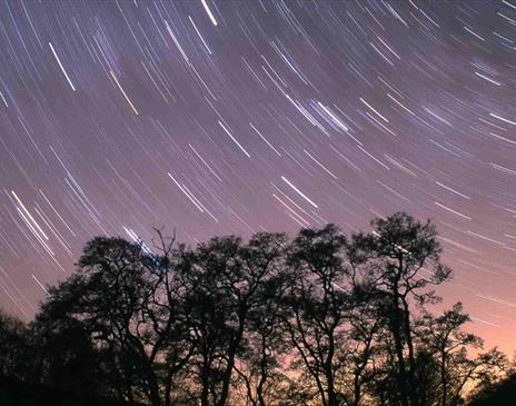 Dark Skies above Whilatter Forest in the Lake District, Cumbria