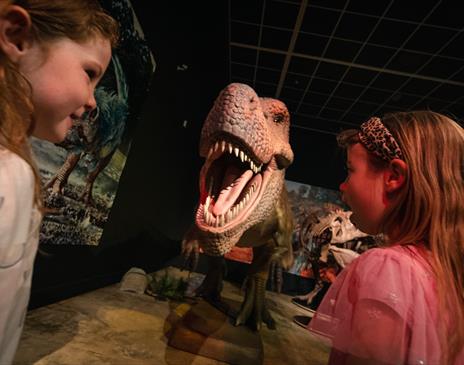 Dinosaur rEvolution