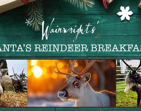 Poster for Santa's Reindeer Breakfast featuring photos of reindeer