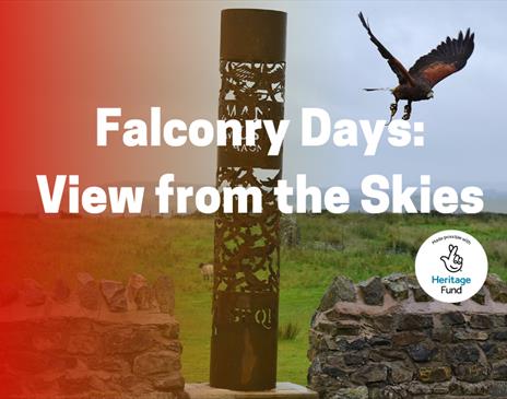 Falconry Days: A View from the Skies