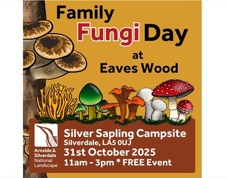 Family Fungi Day poster at Silver Sapling Campsite