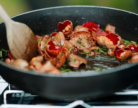 Forage and cook workshop