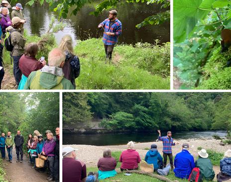Forage and Feast workshop