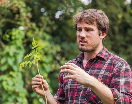 Forage and Nibble workshop
