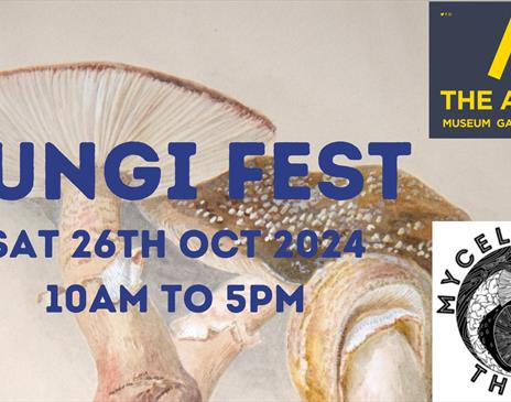 The Armitt presents: Fungi Fest!