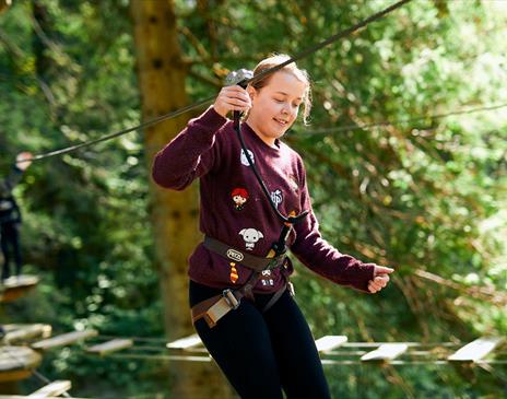 Family on a Treetop Challenge at Go Ape in Whinlatter Forest Park in Braithwaite, Lake District