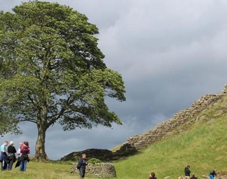 Great Guided Tours in Carlisle, Cumbria