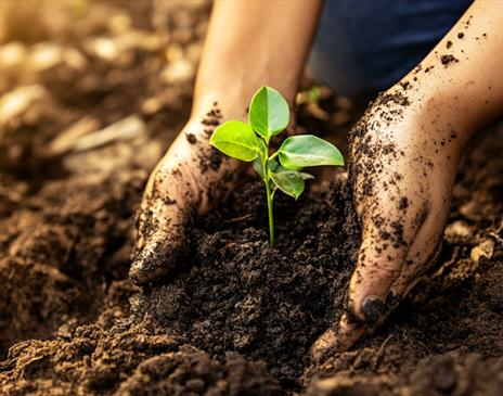 New Year, New Creation Quiet Day