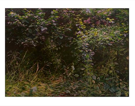 Expanding Landscapes: Painting After Land Art