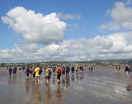 Participants in the Morecambe Bay Walk for the Lakes at Morecambe Bay, Cumbria