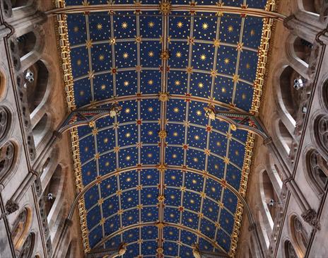 Angels' View Tours