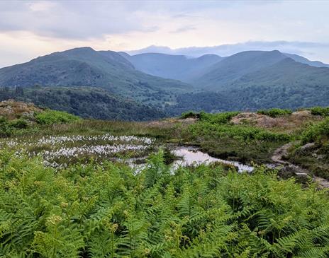 Scenic Lake District Views with Kelker Well Walks