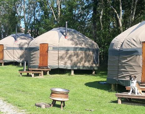 Dog Friendly Yurts at Long Valley Yurts, Keswick, Lake District