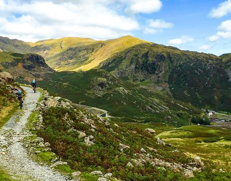 Lakes Epic Mountain Bike Tour from Saddle Skedaddle