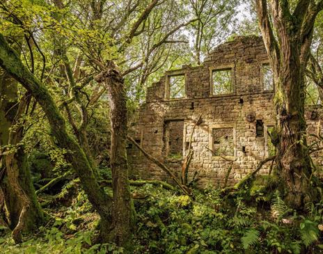 Photograph of an abandoned mill by Lee Whitworth