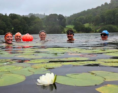Loughrigg, Lakes and Lilies Wild Swim