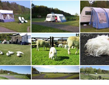 Low Moor Head Caravan Park near Longtown, Cumbria