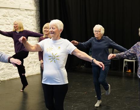 A group of ladies dancing in a studio
