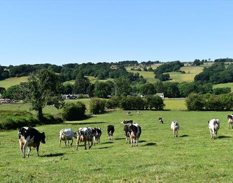 A Farm to Fork Tour. Photo: Midtown Milk House