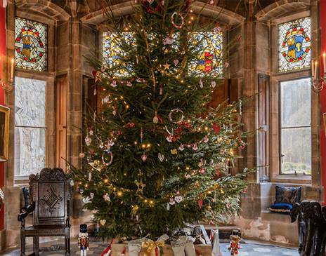 Christmas Tree at Muncaster Castle in Ravenglass, Cumbria