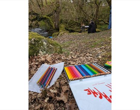 Nature Doodling at Wild Haweswater