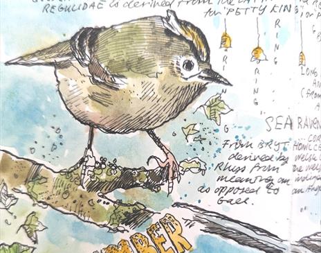 'Shortcut to Nature Journalling' with Steve Pardue