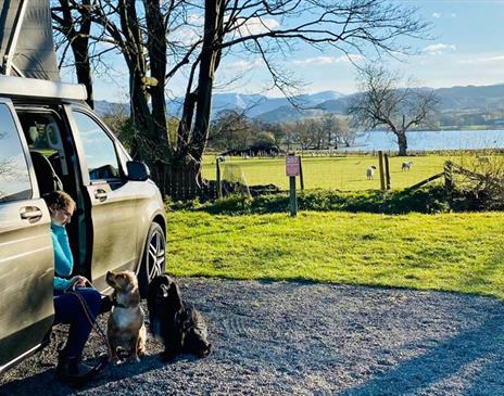 Dog Friendly Holiday Park at Park Foot Holiday Park in Pooley Bridge, Lake District