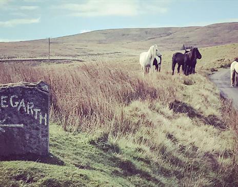 Signage for the Lane to The Lodges at Artlegarth in Ravenstonedale, Cumbria