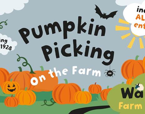 Pumpkin Picking on the Farm graphic with pumpkins and bats