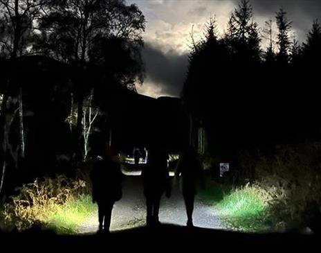 Forest Run & Yoga - Cumbria Dark Skies Festival