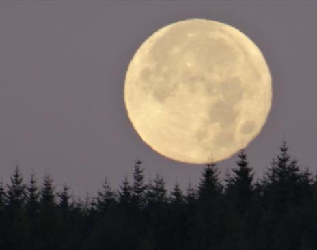 Full Strawberry Moon Women's Circle