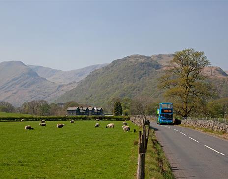 Stagecoach Buses