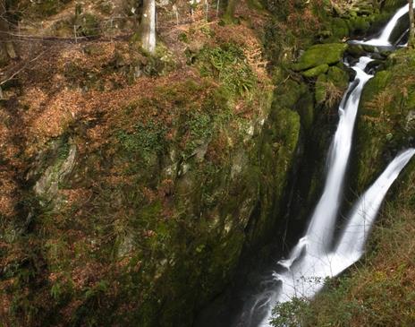 Stock Ghyll Force near Ambleside, Lake District