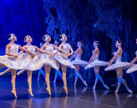 A still from the ballet "Swan Lake". showing a group of 9 ballerinas