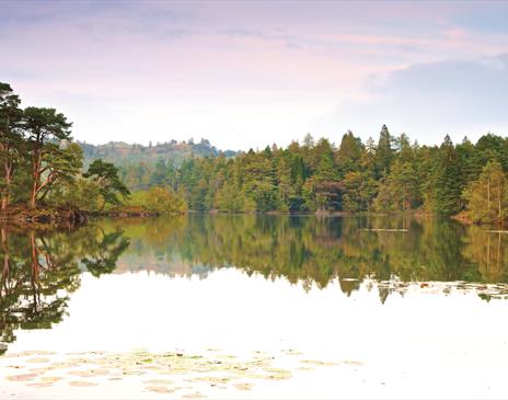 Lake District Swim Yoga Retreat