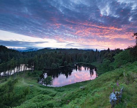 View of Tarn Hows at Sunset in the Lake District, Cumbria