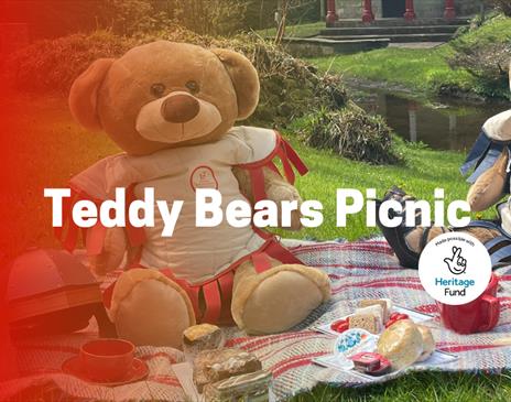 Teddy Bears Picnic