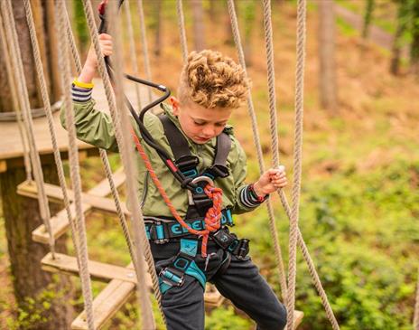 A child navigating a high ropes course