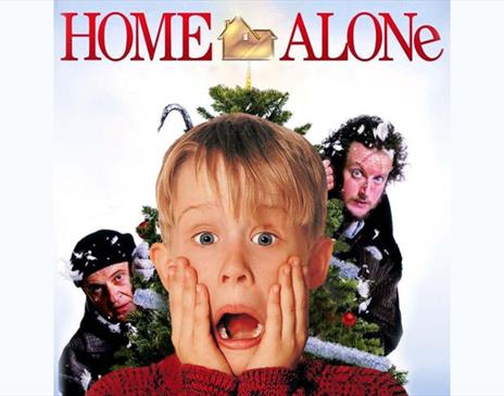 Home Alone Poster