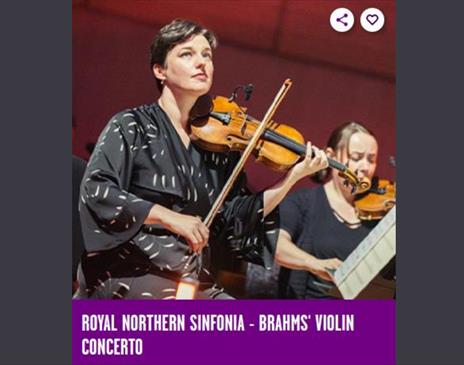 Women playing a Violin