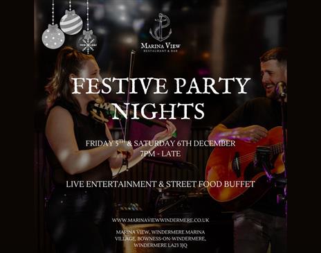 Festival Party Poster