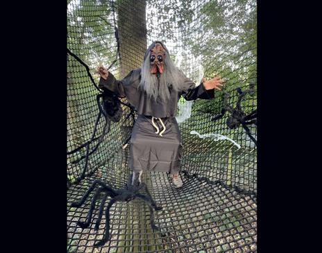 A person dressed in a spooky costume resembling a spider. Large fake black spiders are positioned around them on the net.