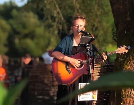 Live Music at The Swan - Freyja Burke