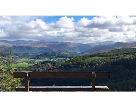Family Photography Workshops at Whinlatter Forest in the Lake District, Cumbria