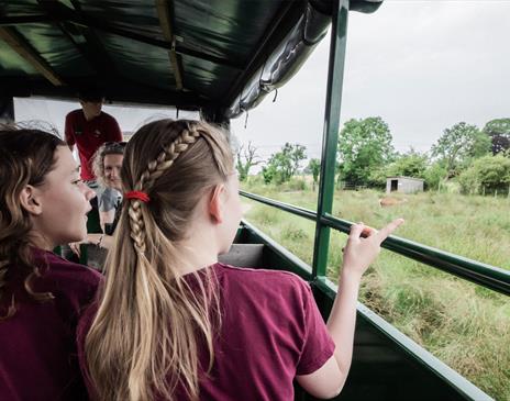 Tractor Tours for Schools & Group Visits to Walby Farm Park in Walby, Cumbria