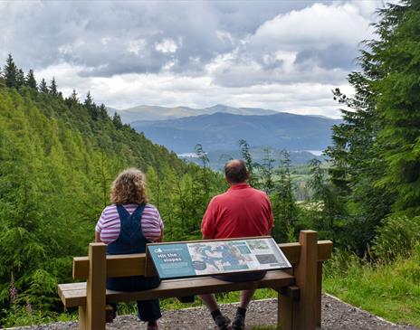Couple Sitting on a Bench on the Wow Trail at Whinlatter Forest in the Lake District, Cumbria